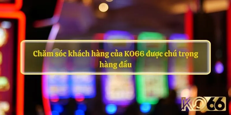 Chăm sóc khách hàng của KO66 được chú trọng hàng đầu